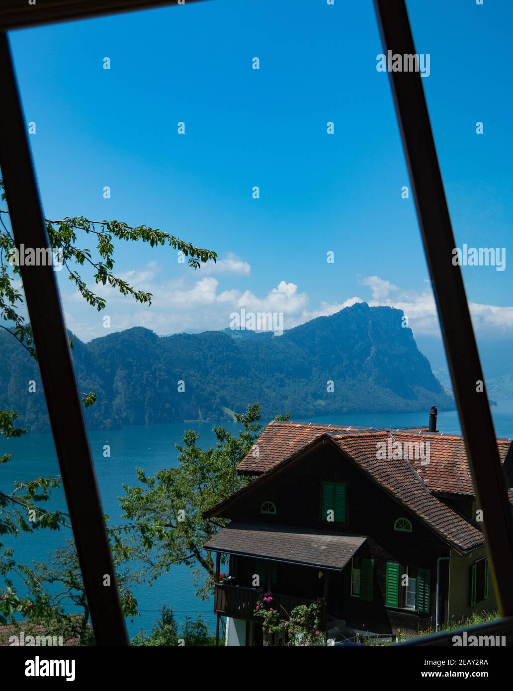 Vista dalla finestra della ferrovia a cremagliera per il monte Rigi, Svizzera Foto Stock