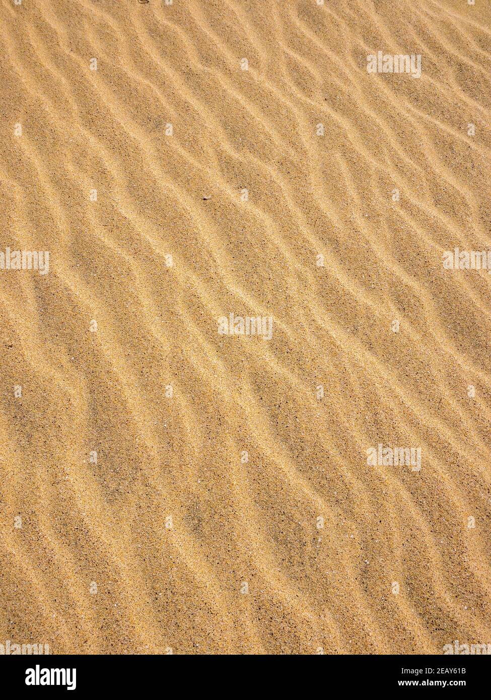 Spiaggia sabbia tessitura Foto Stock