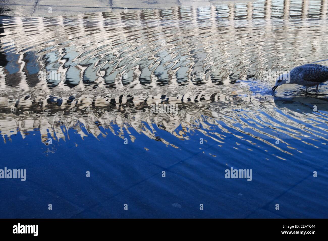 Riflessioni in Piazza San Marco Venezia 001 Foto Stock