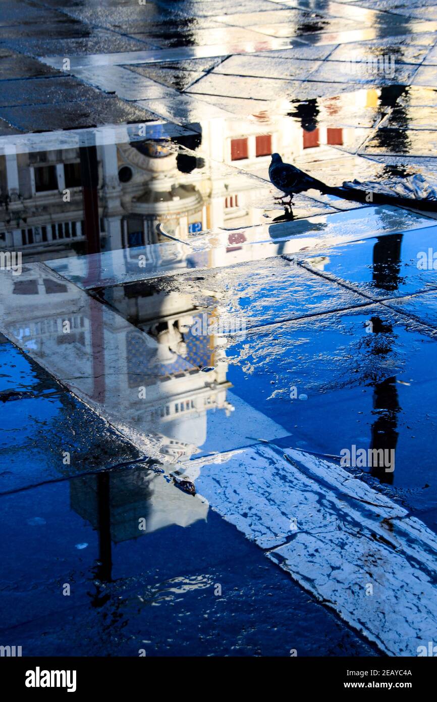 Riflessioni in Piazza San Marco Venezia 002 Foto Stock