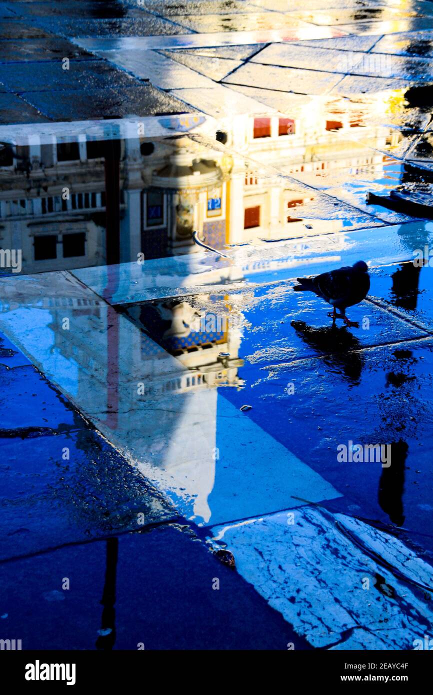 Riflessioni in Piazza San Marco Venezia 003 Foto Stock