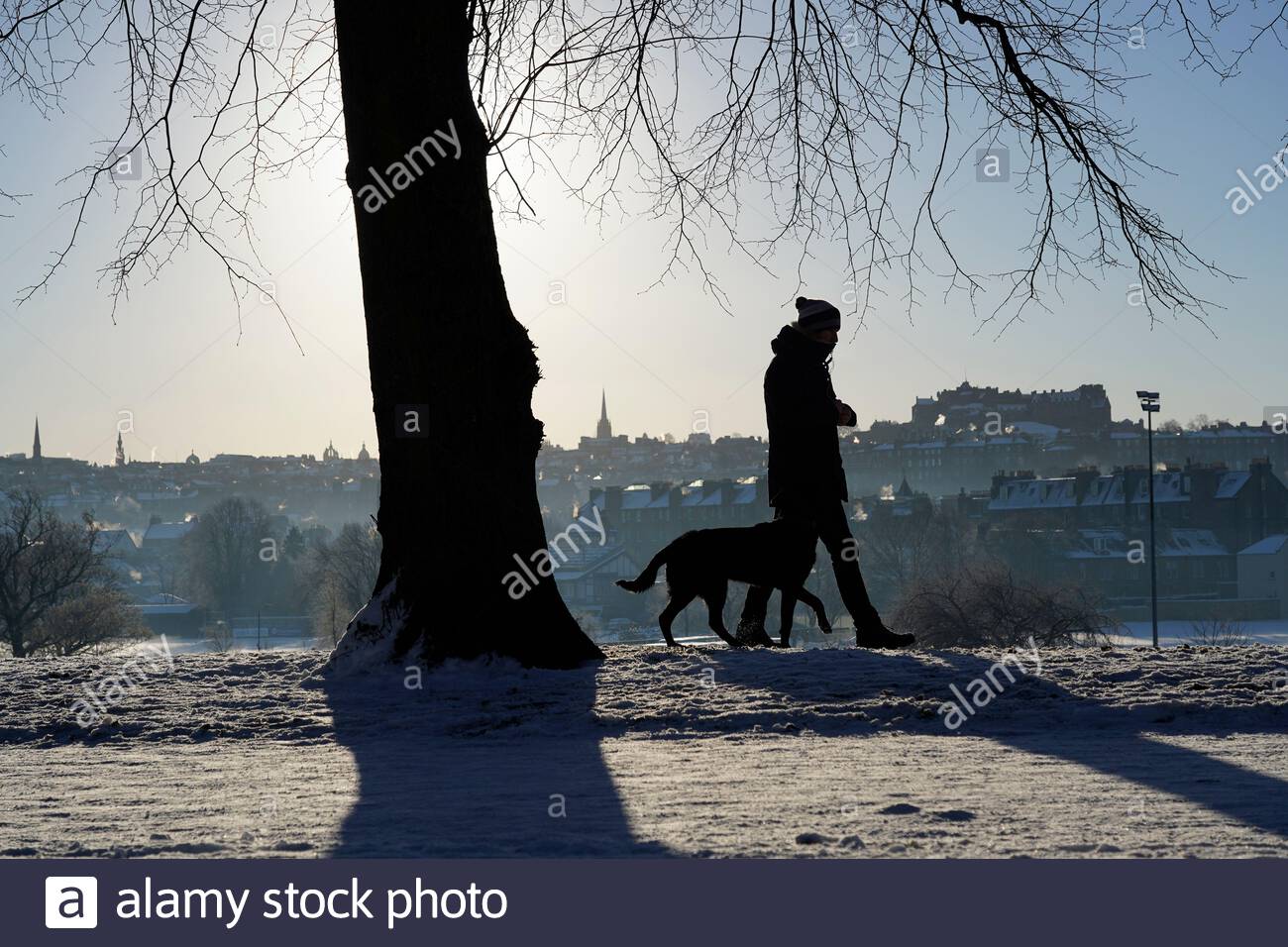 Edimburgo, Scozia, Regno Unito. 11 Feb 2021. La gente si diverte a camminare il cane in una gloriosa mattina soleggiata ma gelida in un parco innevato Inverleith. Vista sul Castello di Edimburgo. Credit: Craig Brown/Alamy Live News Foto Stock