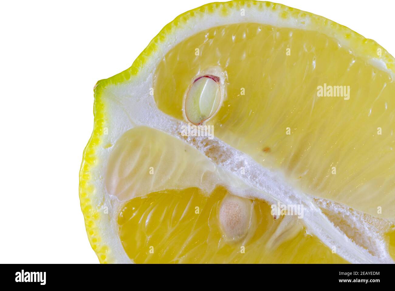 Affettato limone fresco isolato su bianco. Cattura macro adatta come backgorund o sfondo. Foto Stock
