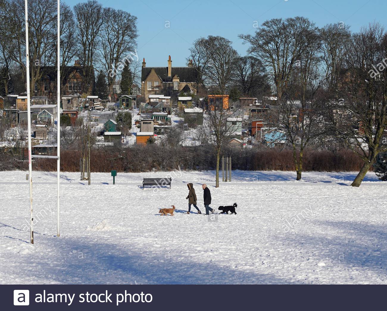 Edimburgo, Scozia, Regno Unito. 11 Feb 2021. La gente si diverte a camminare il cane in una gloriosa mattina soleggiata ma gelida in un parco innevato Inverleith. Credit: Craig Brown/Alamy Live News Foto Stock