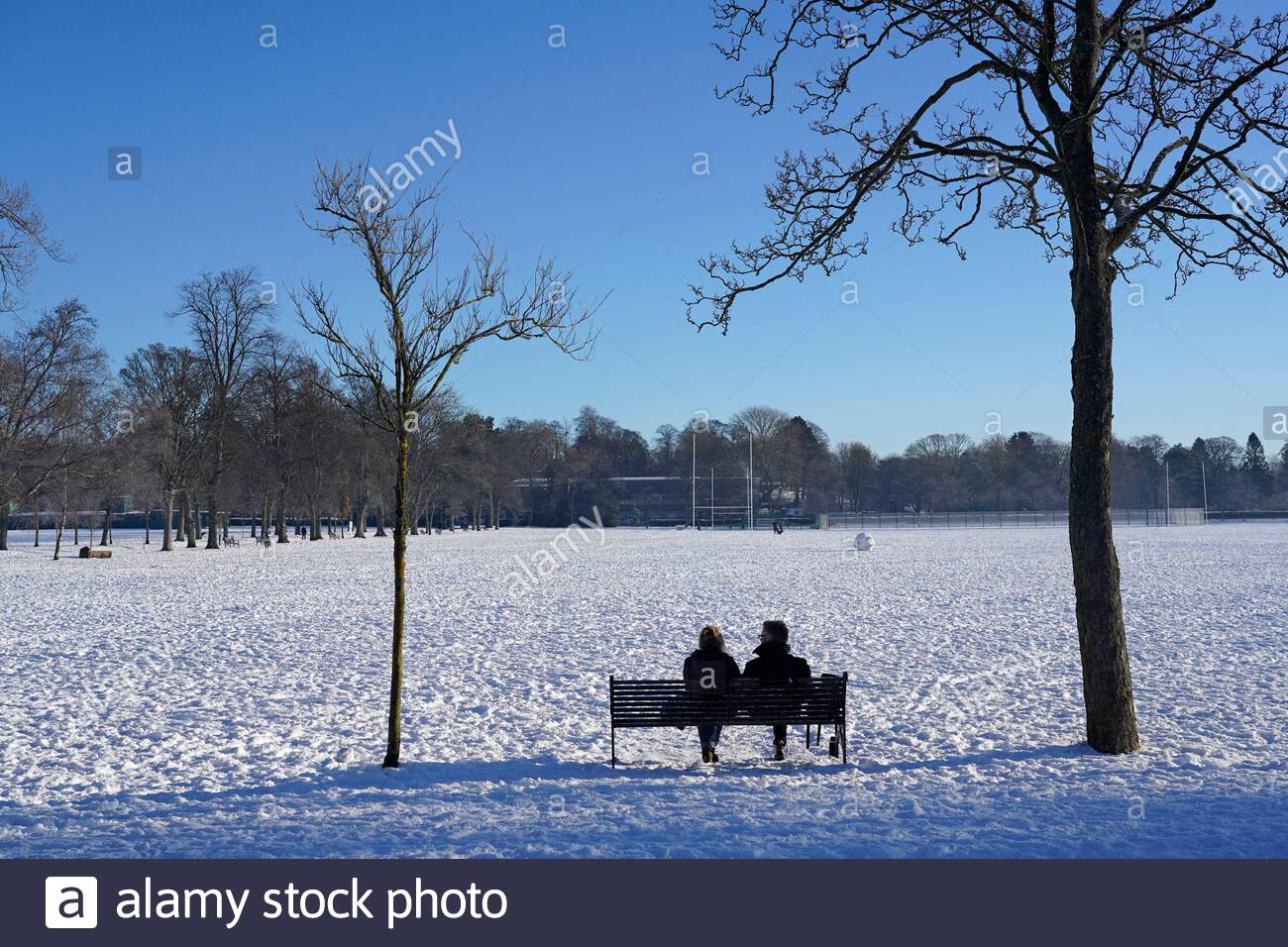 Edimburgo, Scozia, Regno Unito. 11 Feb 2021. La gente gode di una gloriosa mattina soleggiata ma gelida in un parco innevato Inverleith. Credit: Craig Brown/Alamy Live News Foto Stock