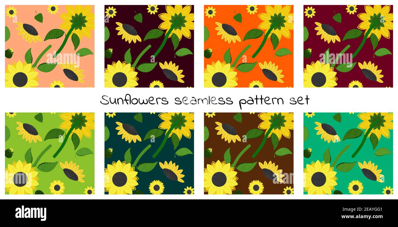 Set di girasoli estivi Illustrazione Vettoriale