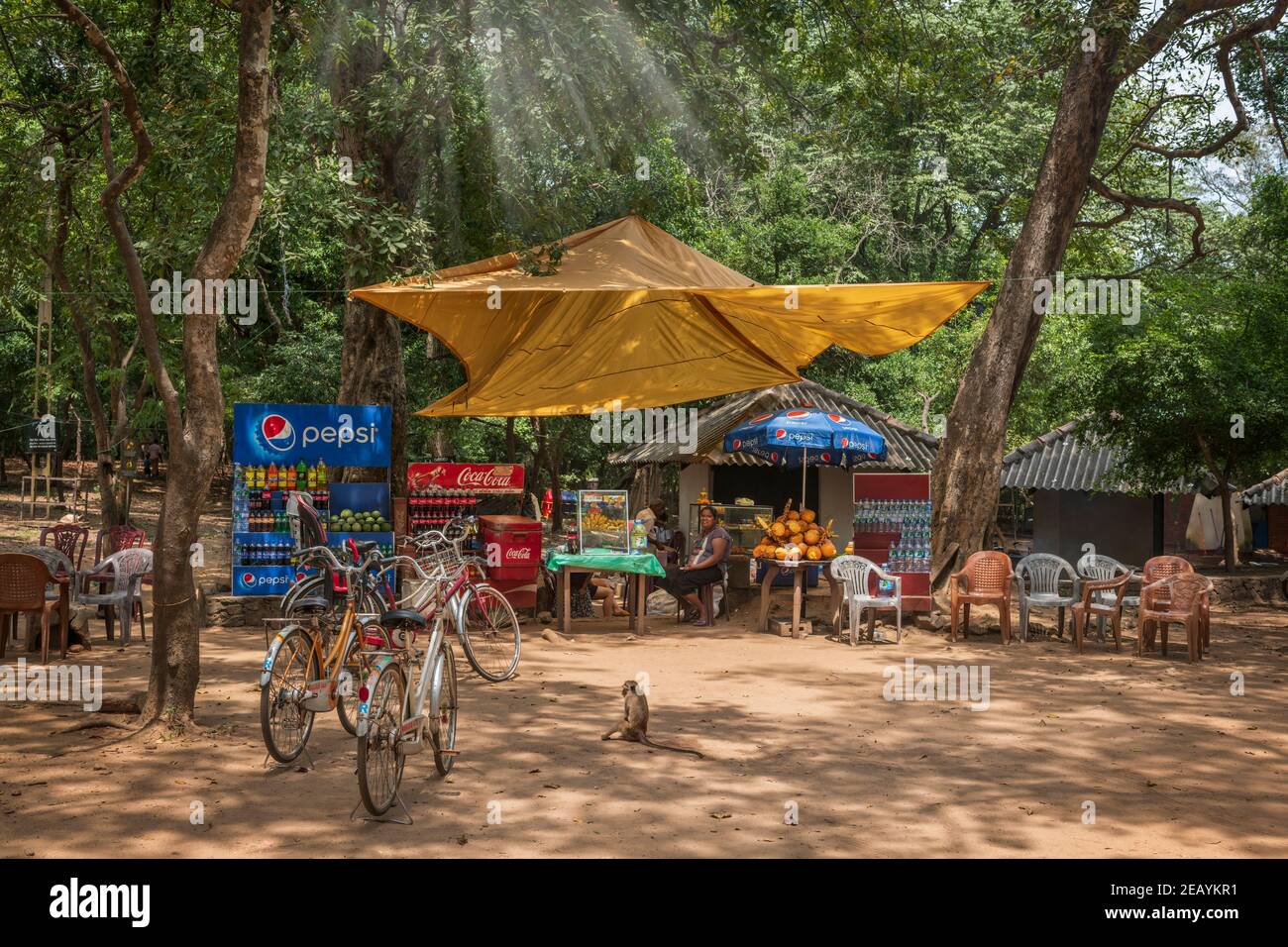 Al riparo sotto una tenda dal sole di mezzogiorno, una piccola azienda a conduzione familiare offre rinfreschi ai turisti che passano nell'antica città di Polonnarawu Foto Stock
