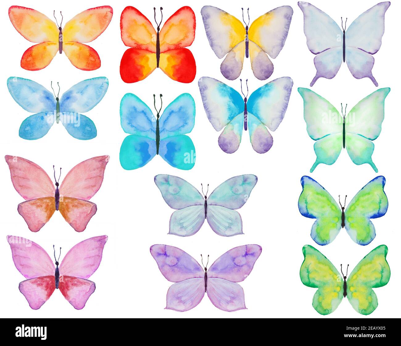 Set di illustrazioni farfalla colorate acquerello Foto Stock