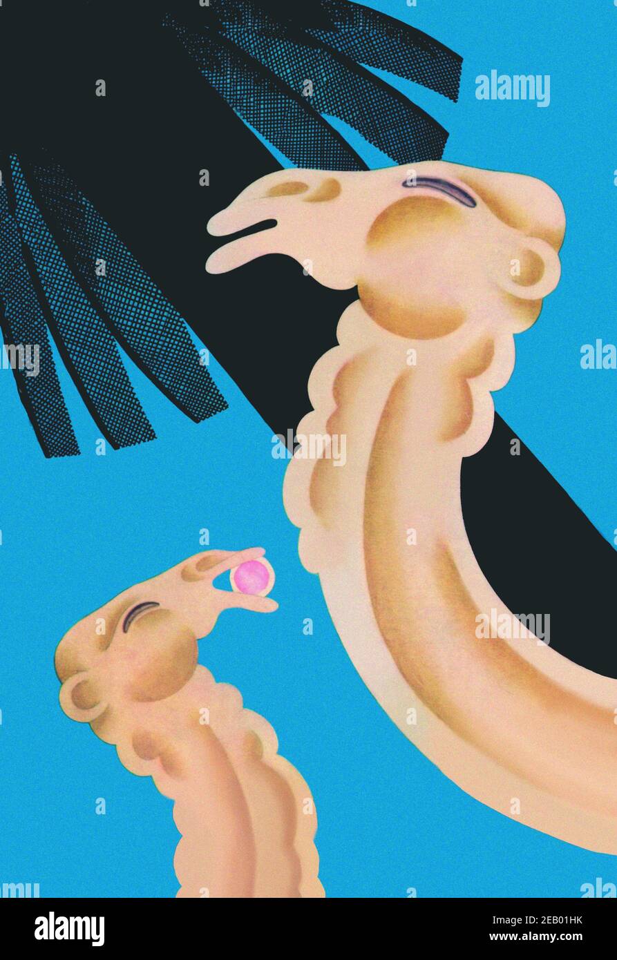 Frutta vietata 1930 Foto Stock