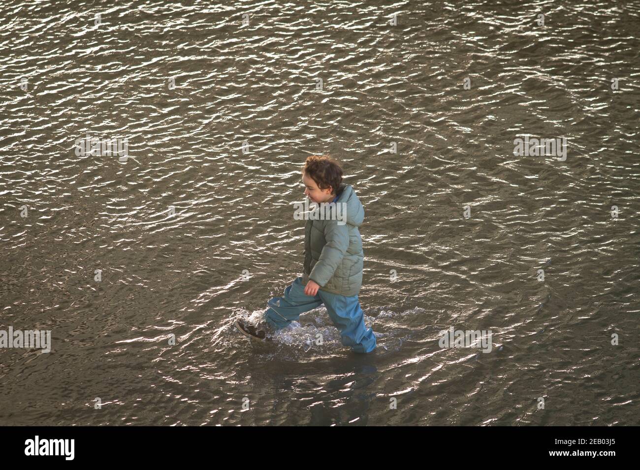 Alluvione del Reno il 4 febbraio. 2021, il bambino cammina attraverso l'acqua sulle rive allagate del Reno a Deutz, Colonia, Germania. Hochwasser des Foto Stock