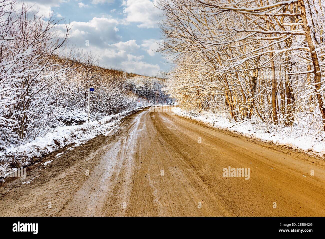 Strada sterrata invernale che passa attraverso la foresta in montagna Foto Stock