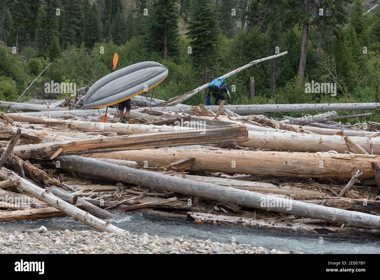 I corridori del fiume che portano sopra un logjam, Big Creek, Idaho. Foto Stock