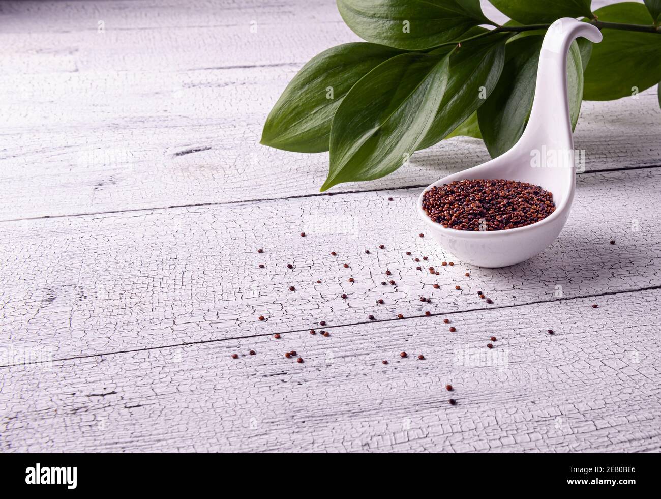 Semi di quinoa crudi rossi in ciotola a cucchiaio bianca su tavolo di legno testurizzato bianco. Pochi semi sono sparsi intorno. Foglie verdi sullo sfondo. Super cibo con c Foto Stock