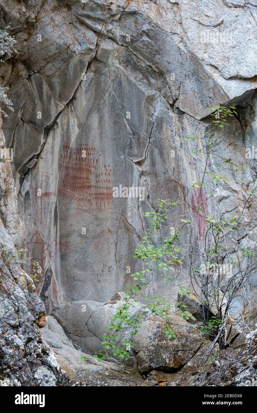 Pittogrammi, Big Creek, Frank Church - fiume senza ritorno Wilderness, Idaho. Foto Stock
