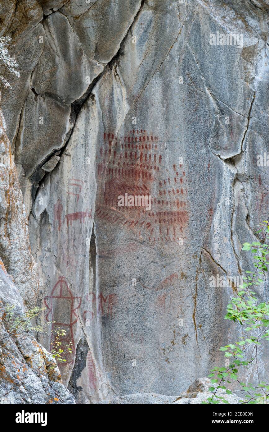 Pittogrammi, Big Creek, Frank Church - fiume senza ritorno Wilderness, Idaho. Foto Stock