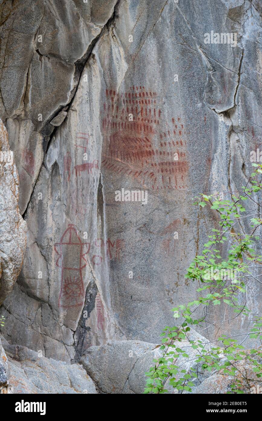 Pittogrammi, Big Creek, Frank Church - fiume senza ritorno Wilderness, Idaho. Foto Stock