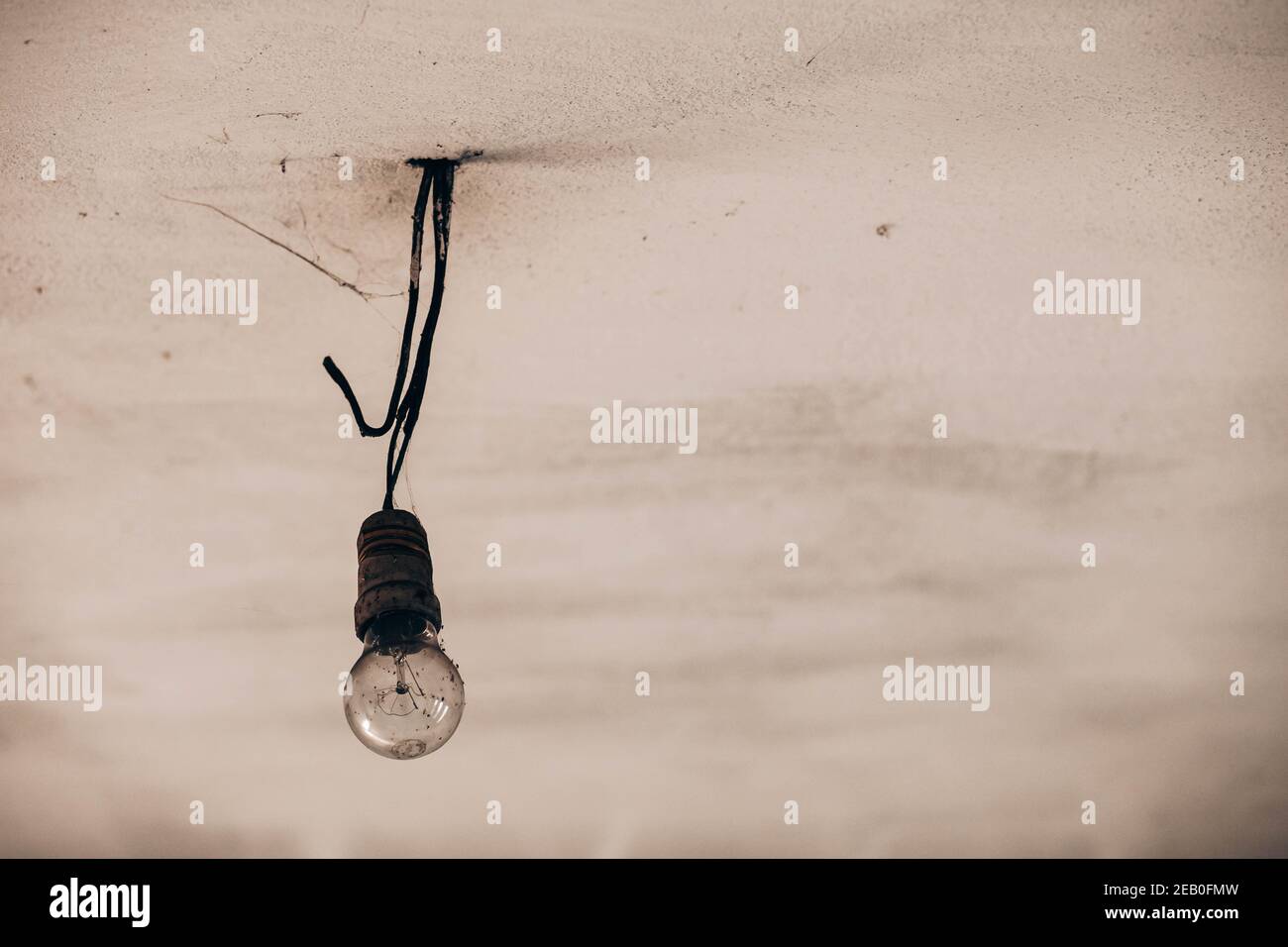 La singola lampadina appesa al soffitto, coperta da piccole mosche Foto Stock