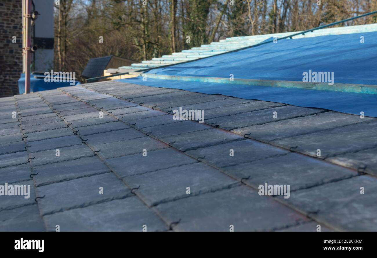 Sostituzione delle piastrelle di ardesia su un tetto a passo basso su un edificio in Devon rurale, Inghilterra, Regno Unito Foto Stock