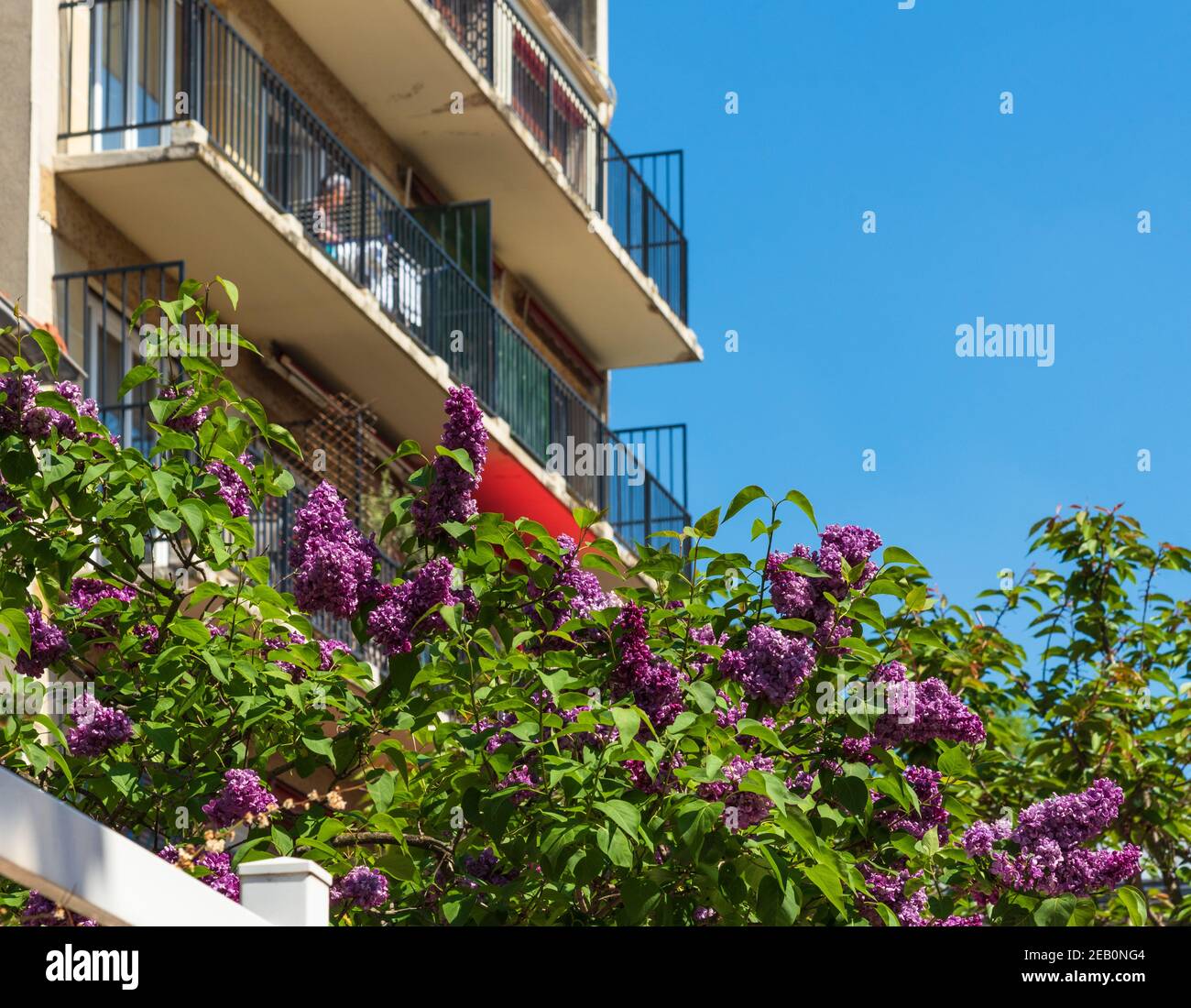 Donna anziana appeso i vestiti ad asciugare al balcone alla luce del sole. Sobborgo parigino, Francia. Casalinghi, casalinghi, pulizie di fondo. Anziani wellbei Foto Stock