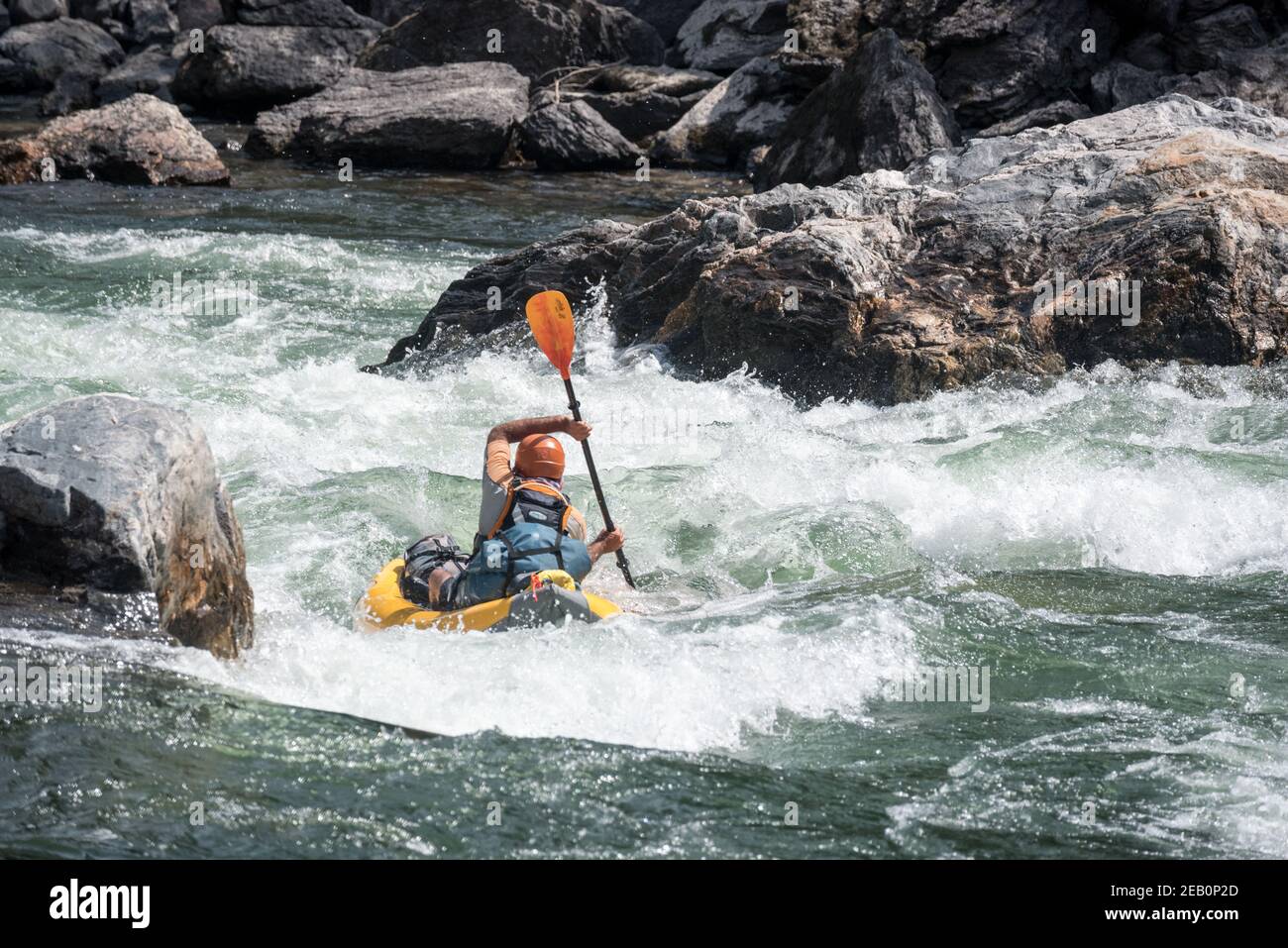 Correre un rapido sulla biforcazione centrale del fiume Salmon, Idaho. Foto Stock
