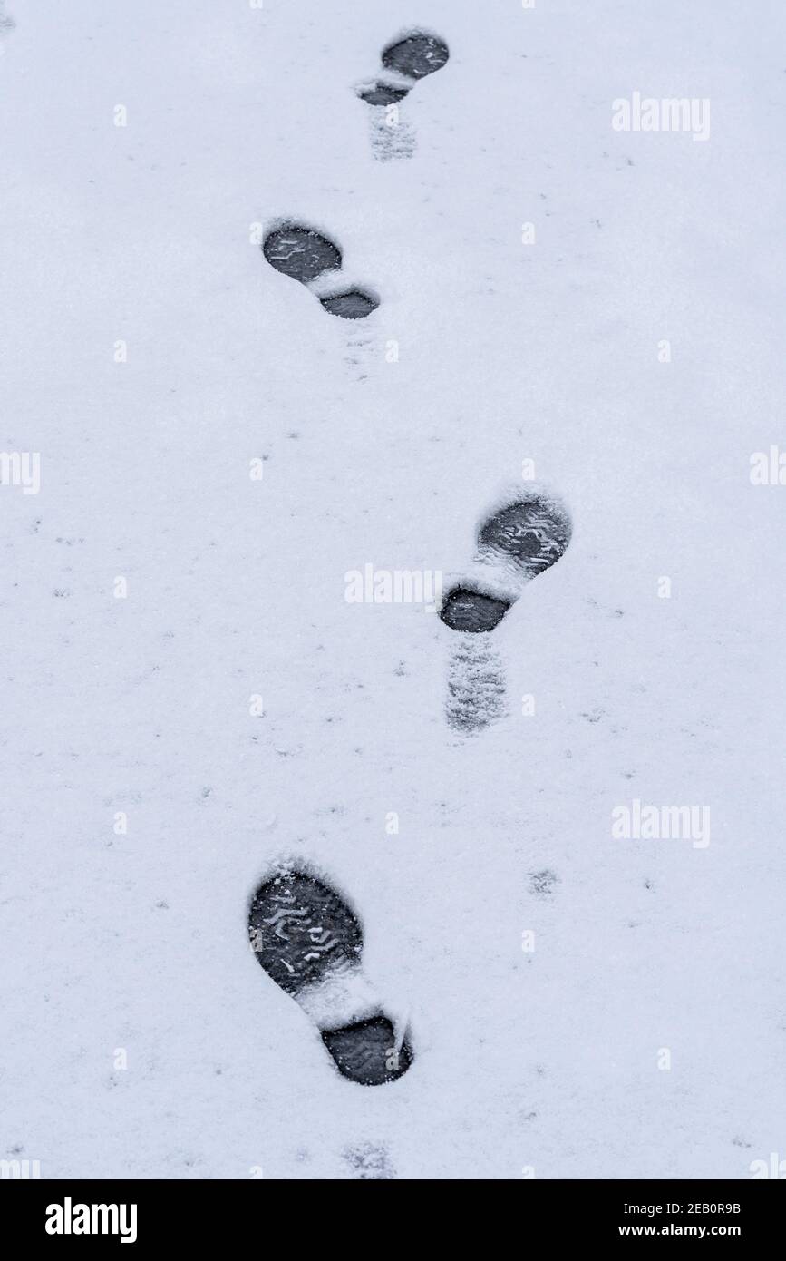 Stampe di stivali nella neve, a Southend on Sea, Essex, UK, con neve da Storm Darcy. Impronte che portano via Foto Stock