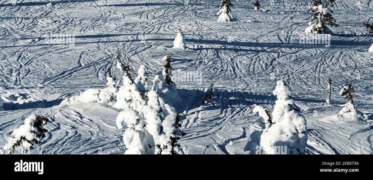 Vista panoramica sulle piste da sci con piste da sci da discesa. Foto Stock
