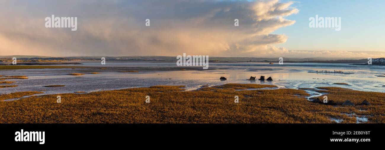 Vista dell'ora d'oro sulle canne dell'area Skern di Northam Burrows, vicino ad Appletore, Devon nord. Panorama. Foto Stock