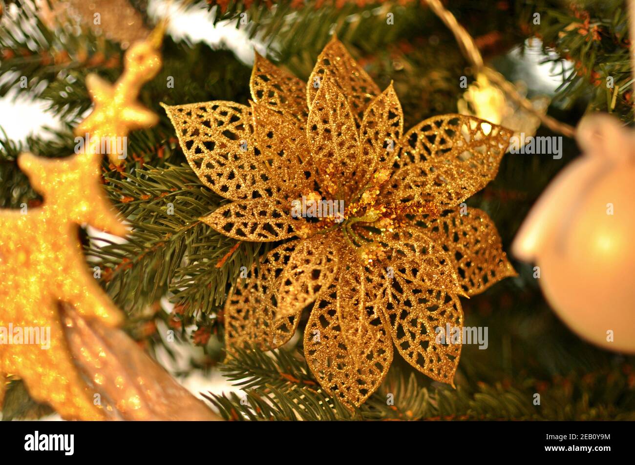 Decorazione del fiore di Natale dorato su un ramo nell'albero verde. Primo  piano, vista frontale Foto stock - Alamy