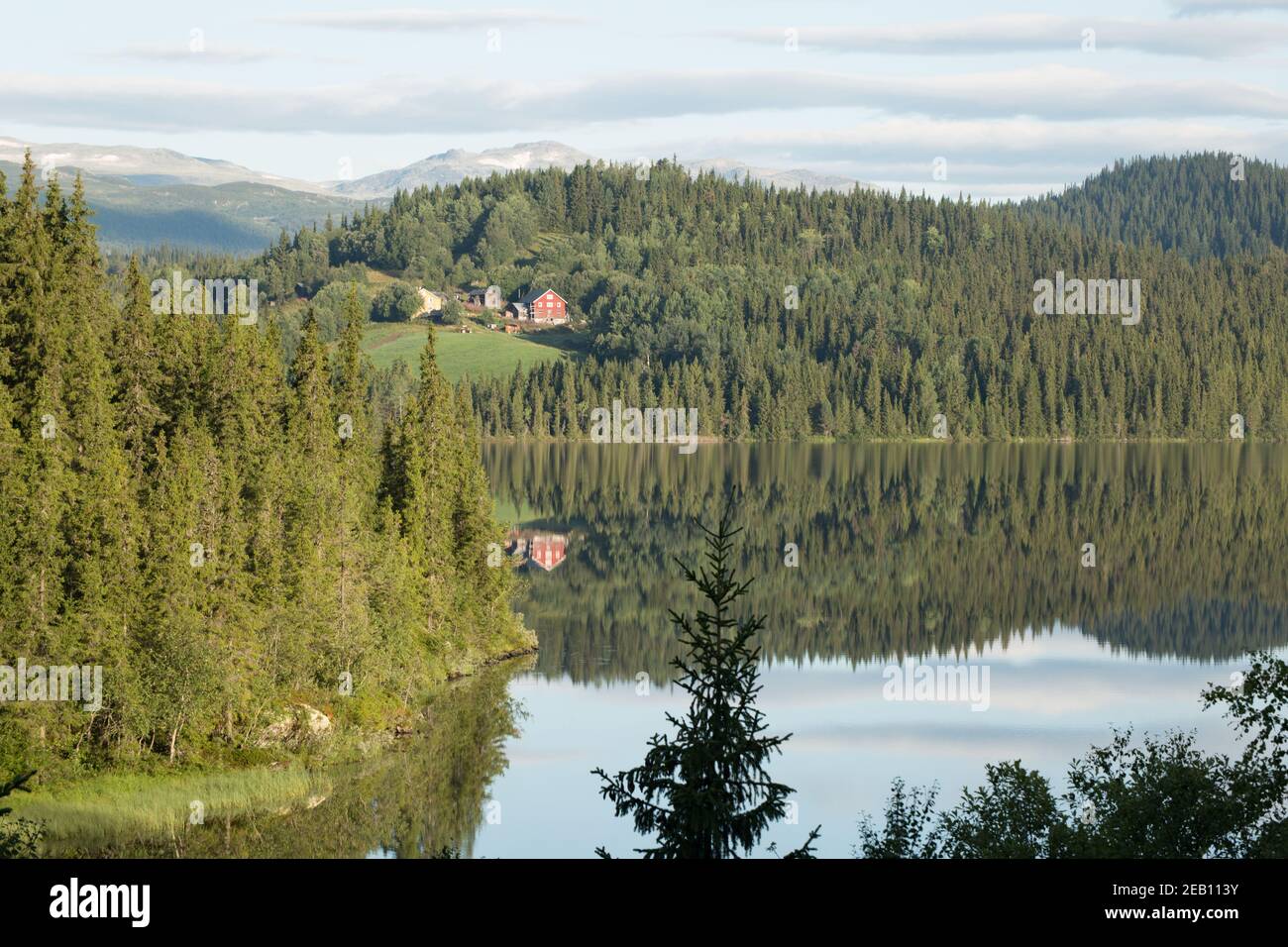 Paesaggio panoramico a Valdesflye, nel sud della norvegia Foto Stock