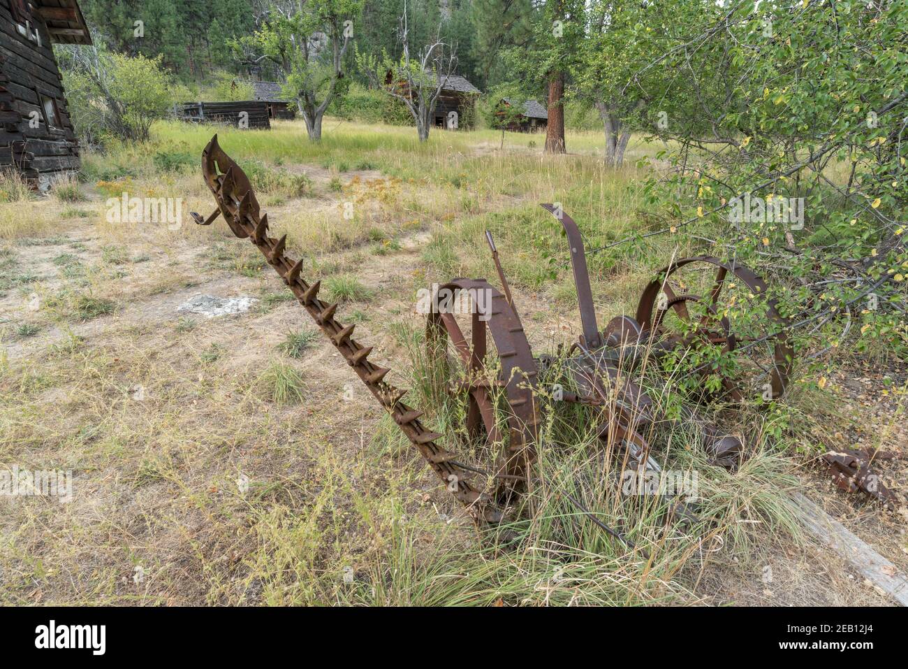 Falciatrice trainata da cavalli Foto Stock