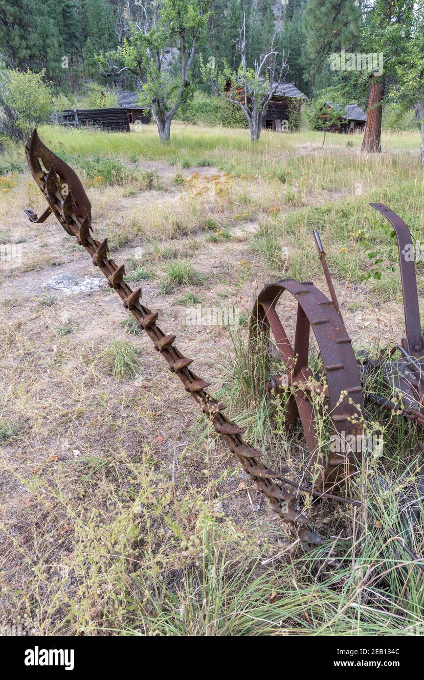 Falciatrice trainata da cavalli Foto Stock