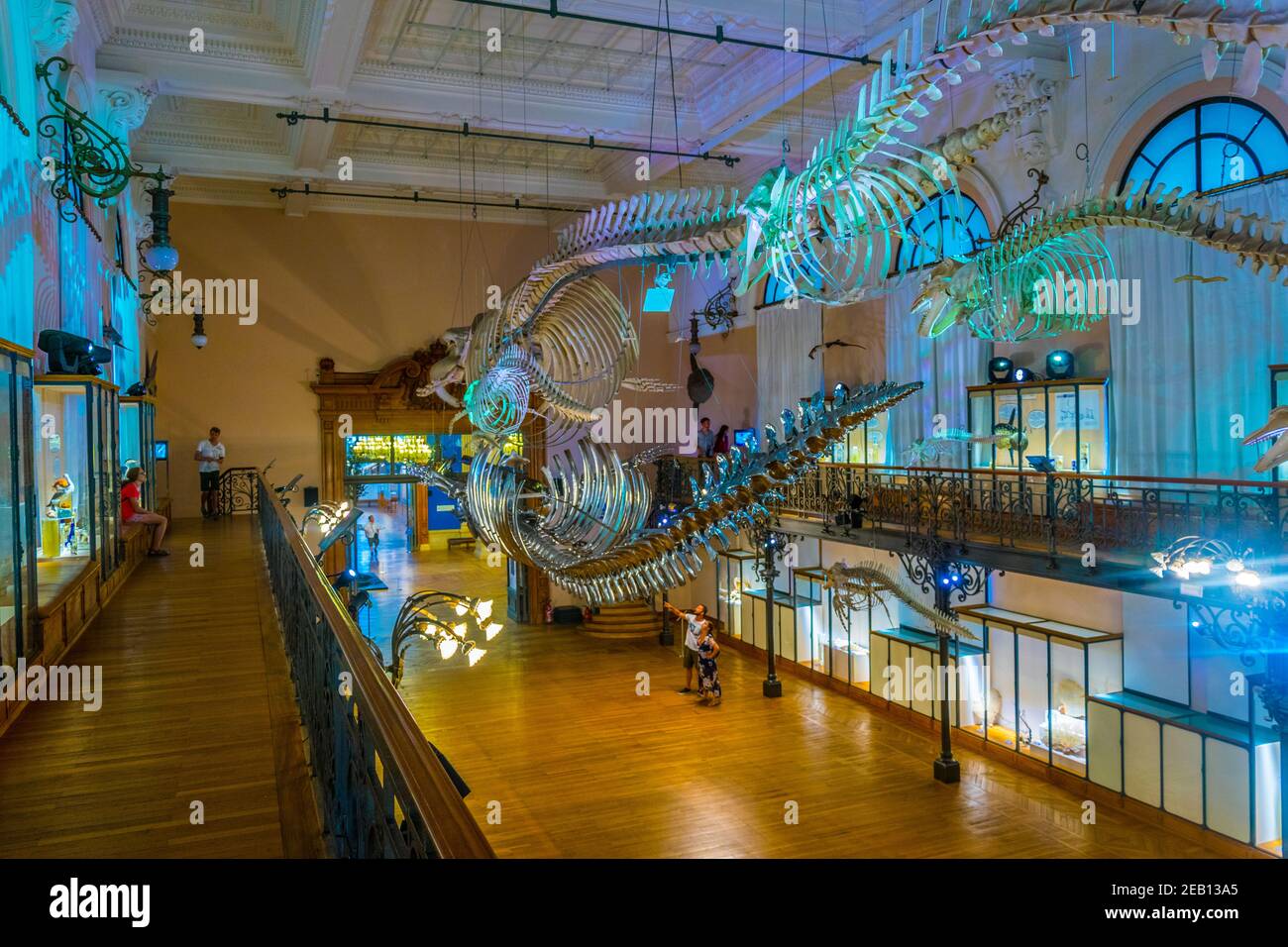 MONACO, MONACO, 14 GIUGNO 2017: Vista dell'interno del Musée océanographique de Monaco Foto Stock