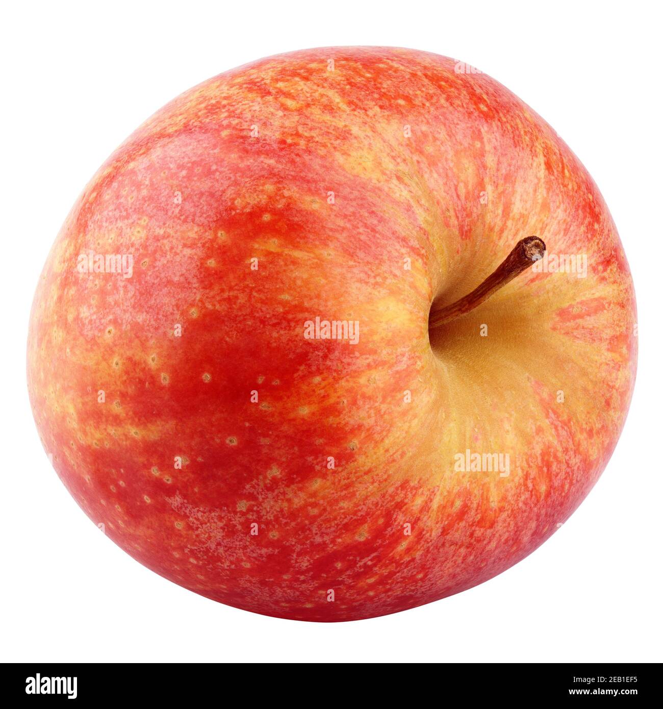 Singola mela rossa gialla fresca isolata su sfondo bianco con tracciato di ritaglio Foto Stock