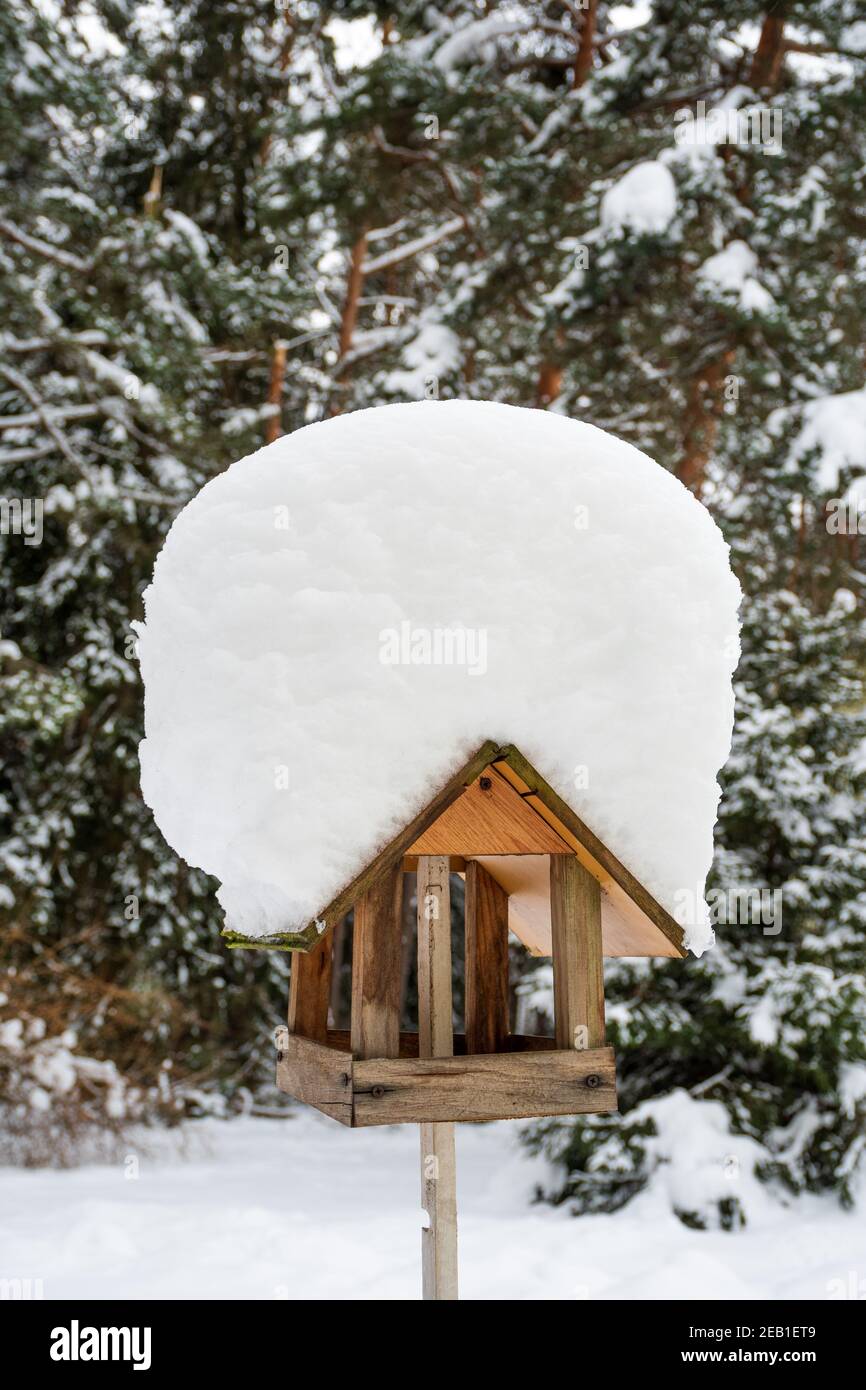 Bella casa di uccelli in legno con tetto coperto di neve in una foresta o parco in inverno, verticale Foto Stock