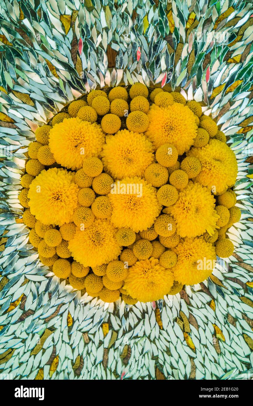 Fiori gialli e specchi componibile Foto Stock