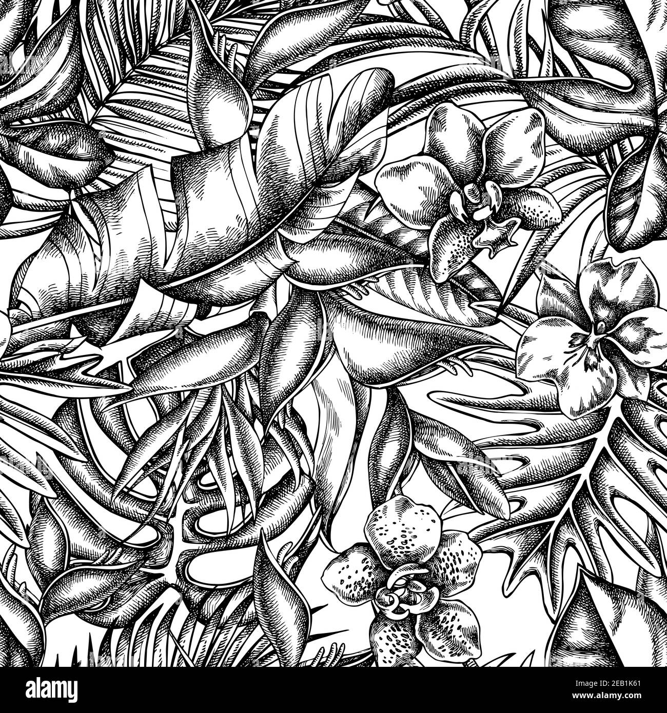 Motivo senza cuciture con monstera bianco e nero, foglie di banana palma, strelitzia, heliconia, foglie di palma tropicali, orchidea Illustrazione Vettoriale