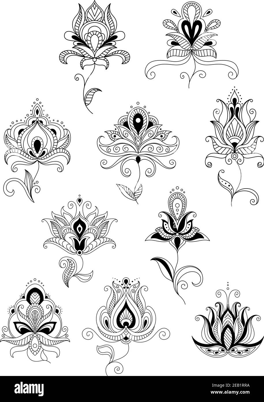 Paisley Outline elementi floreali di design raffiguranti fiori di stile etnico nero con steli ondulati e foglie ricci su sfondo bianco Illustrazione Vettoriale