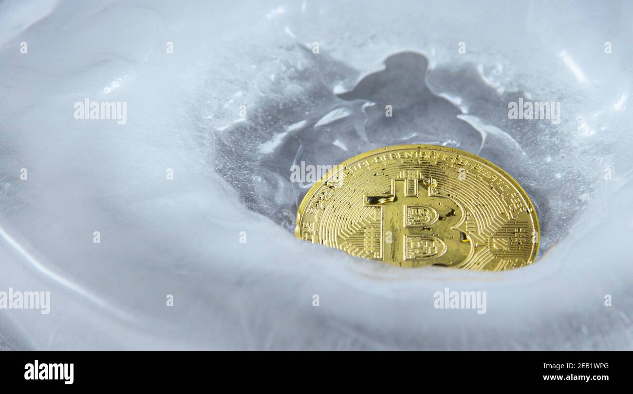 Primo piano della moneta d'oro di criptovaluta Bitcoin si è congelata in ghiaccio. Foto Stock