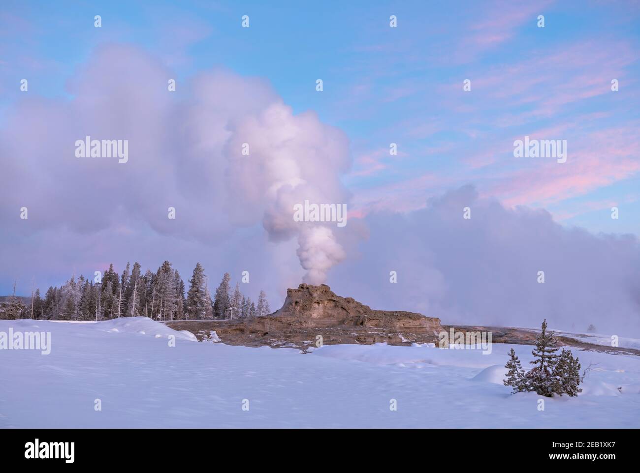 Yellowstone National Park, Wyoming: Vapore che sfiata dal castello Geyser nel bacino superiore del Geyser all'alba in inverno Foto Stock