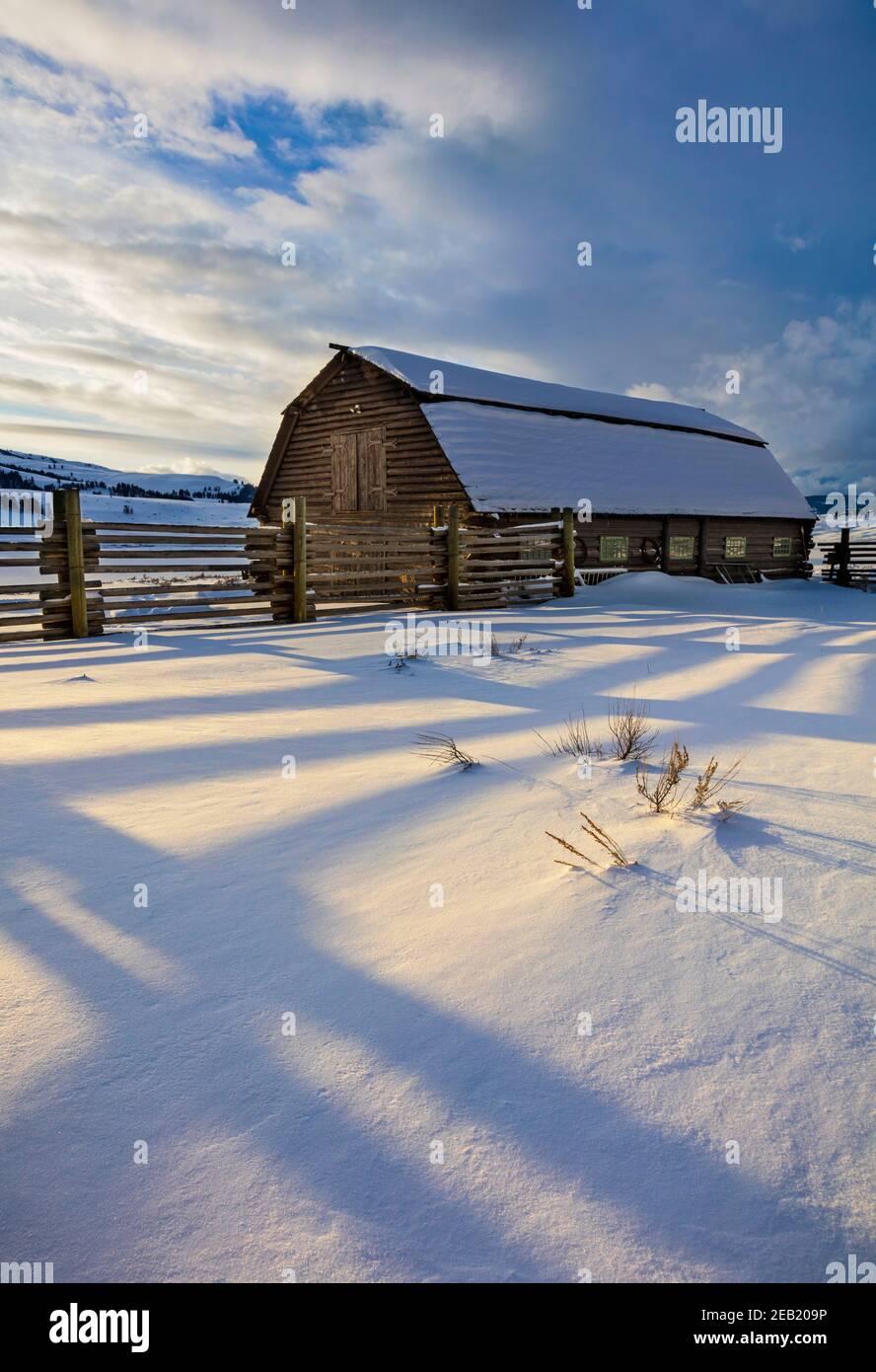 Yellowstone National Park, WY: Ombre di recinzione corale linea nella luce del pomeriggio con fienile di legno al Lamar Buffalo Ranch in Lamar Valley. Foto Stock
