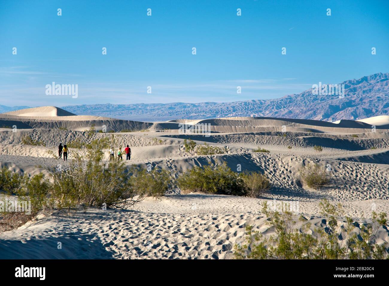 Le dune di sabbia di Mesquite Flats all'estremità nord del Death Valley National Park, California. Foto Stock