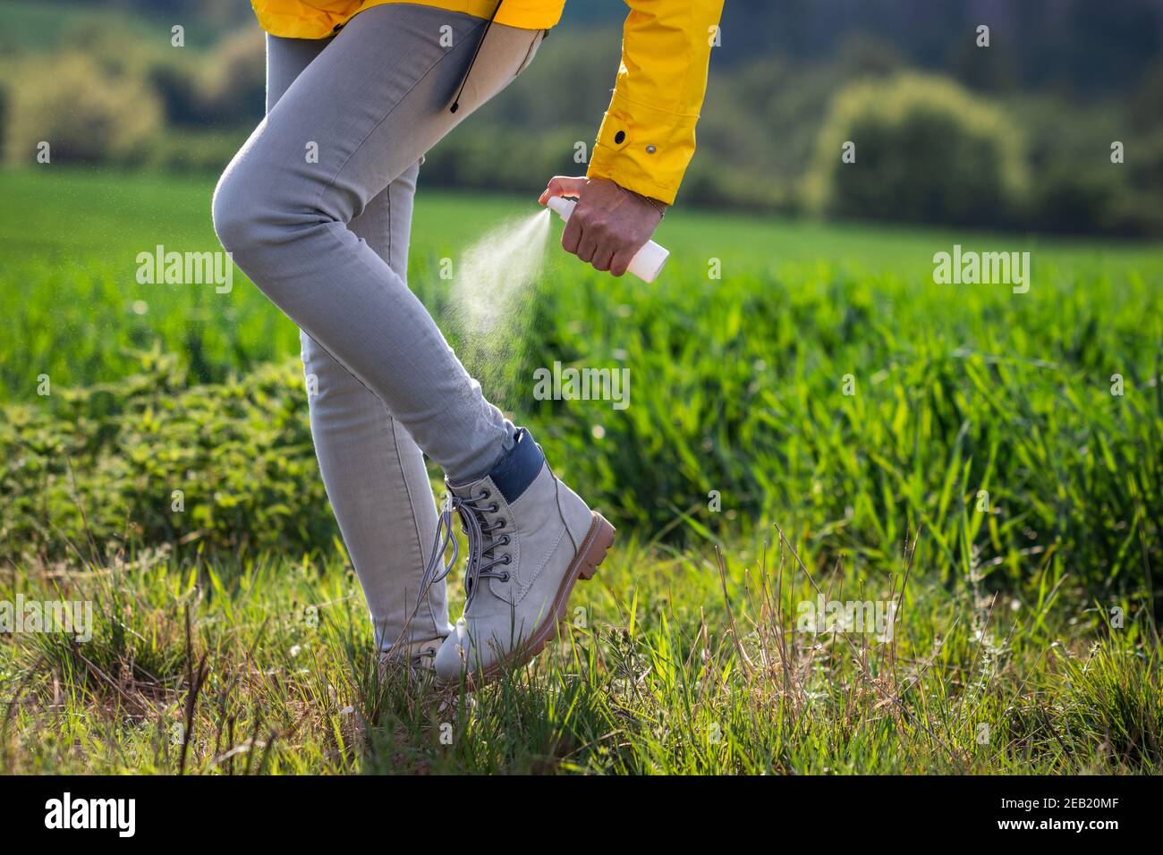 Donna escursionista che spruzzano repellente per insetti contro la zecca sulle gambe e gli stivali. Turista che applica repellente di zanzara Foto Stock