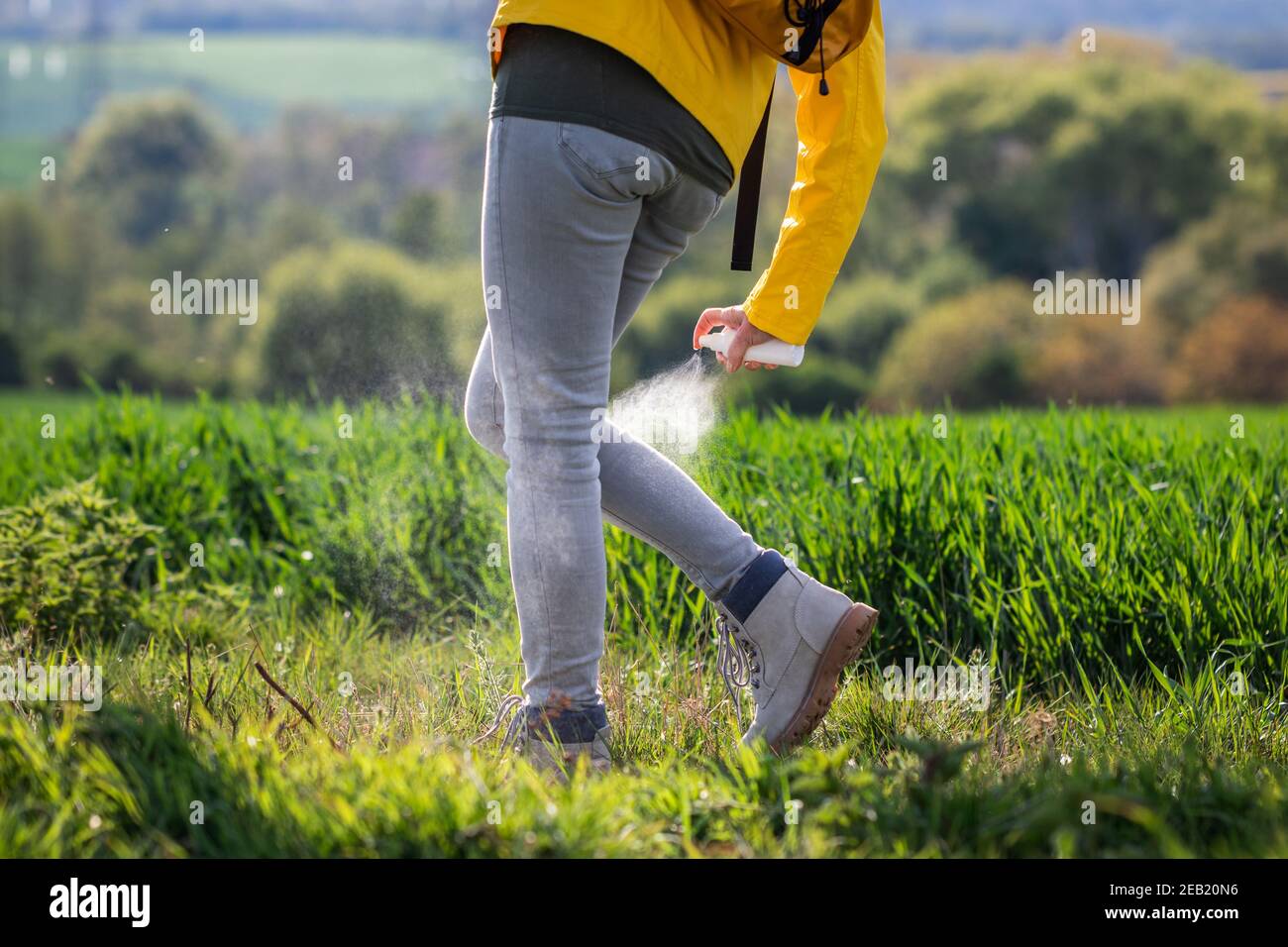 Donna escursionista che spruzzano repellente per insetti contro la zecca sulle gambe e gli stivali. Turista che applica repellente di zanzara. Protezione contro gli insetti Foto Stock