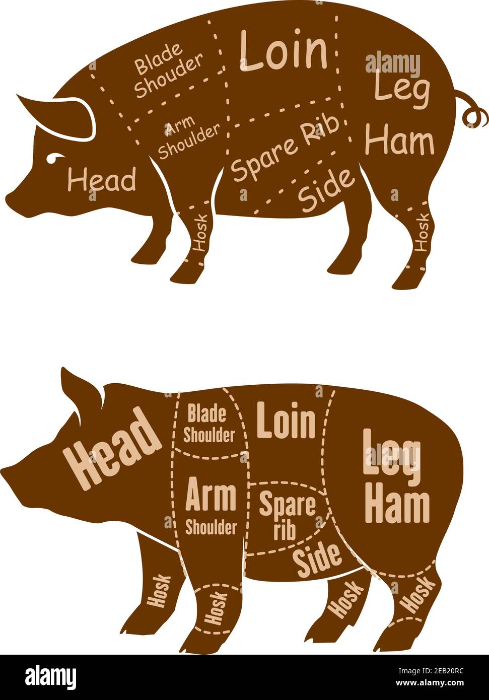 Maiali marroni carnosi con vari contorni di tagli di macelleria differenti per la vendita al dettaglio di carne di maiale e macellaio design Illustrazione Vettoriale