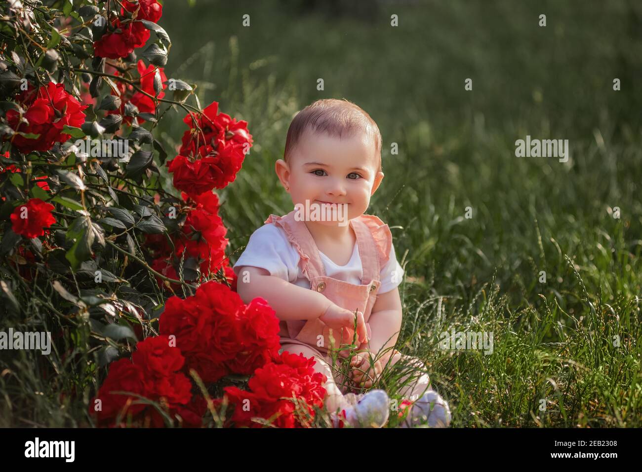 Un bambino si siede su un prato verde accanto alle rose rosse. Una ragazza felice in una tuta polverosa gode di una passeggiata nel parco, le aggrappano le mani, il sole è timido Foto Stock