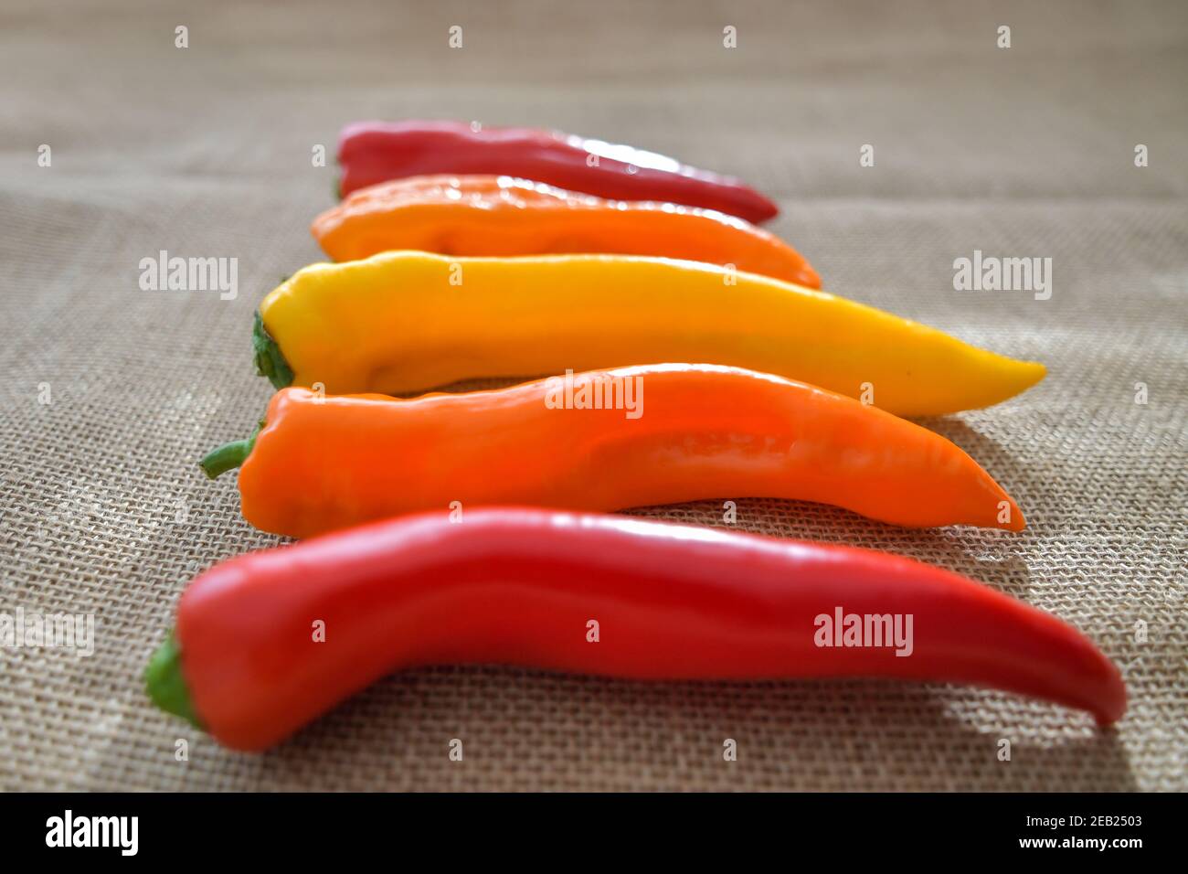 Peperoni colorati verdure Foto Stock