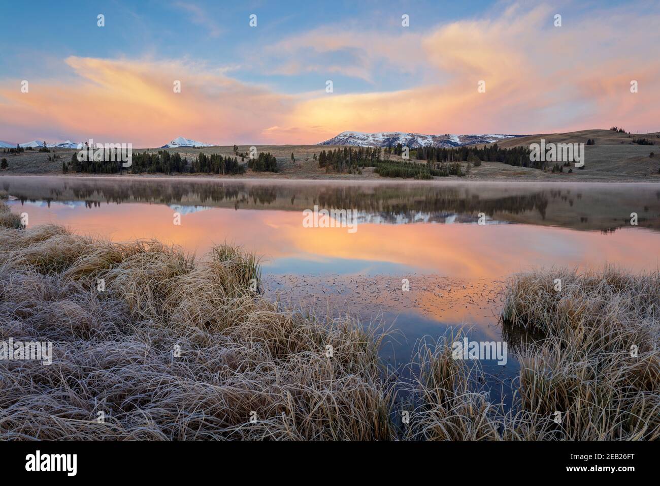 Yellowstone National Park, WY: Alba colorata su Swan Lake Flats con Gallatin Range in lontananza Foto Stock