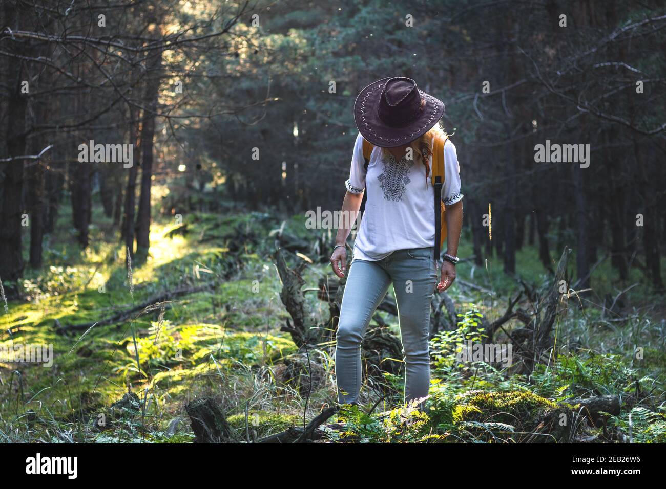 Donna con cappello trekking nel bosco deserto. Il turista femminile indossa una camicia bianca e cammina nella foresta. Turismo in natura Foto Stock Donna con cappello trekking nel bosco deserto. Il turista femminile indossa una camicia bianca e cammina nella foresta. Turismo in natura Foto Stock