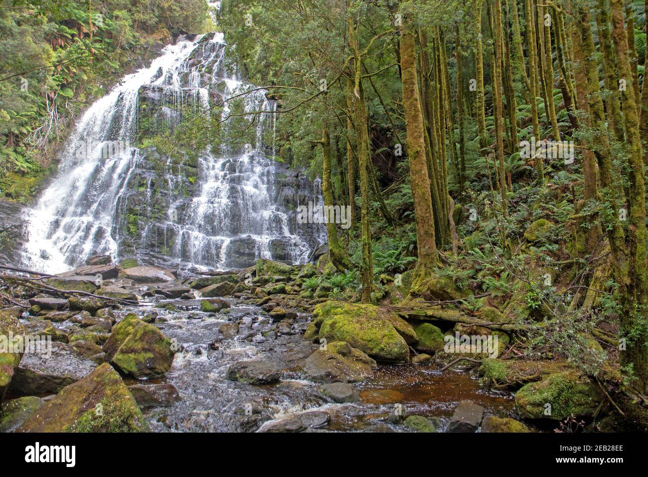 Cascate di Nelson, parco nazionale Franklin-Gordon Wild Rivers Foto Stock