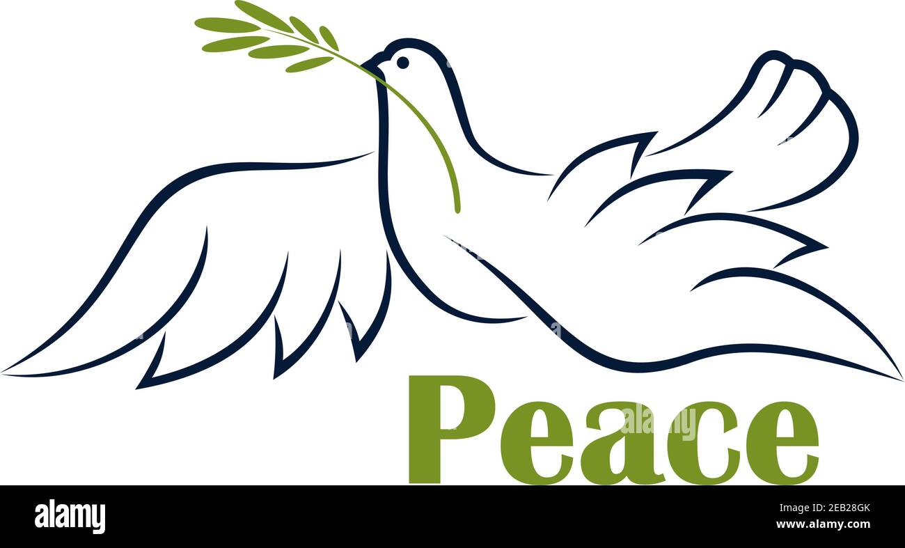 Colomba Con Ramoscello Di Ulivo Volare colomba con ramo di ulivo come simbolo di pace in Delineare lo